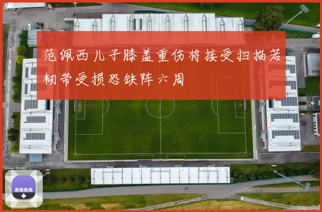 范佩西儿子膝盖重伤将接受扫描若韧带受损恐缺阵六周