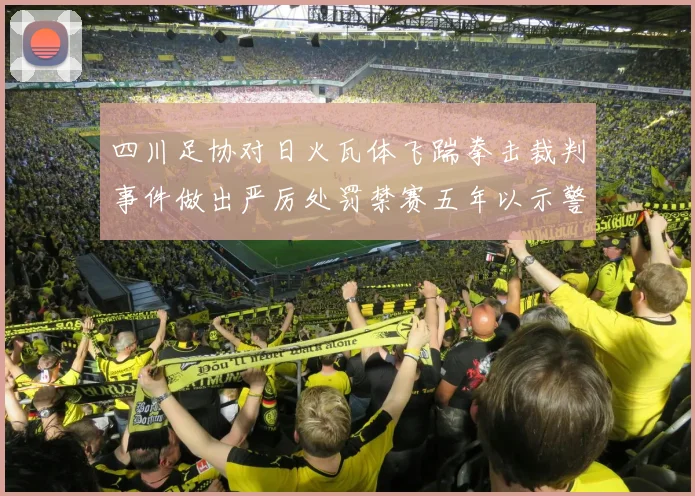 四川足协对日火瓦体飞踹拳击裁判事件做出严厉处罚禁赛五年以示警戒